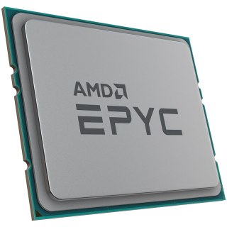 AMD EPYC 7303P (2.40 GHz, 64MB, 130W, SP3) Tray