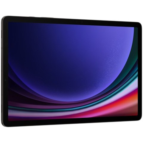 SAMSUNG Galaxy Tab S9 12_256GB Gray 5G