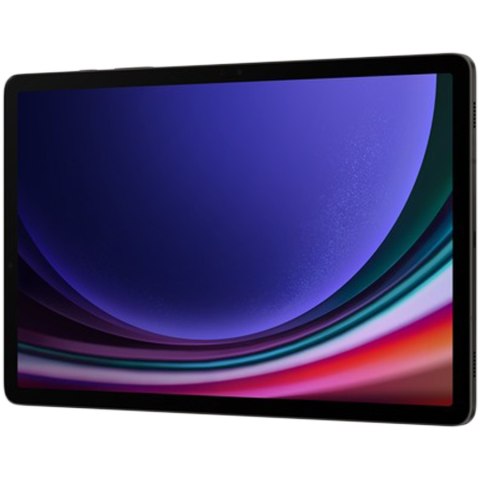 SAMSUNG Galaxy Tab S9 12_256GB Gray 5G