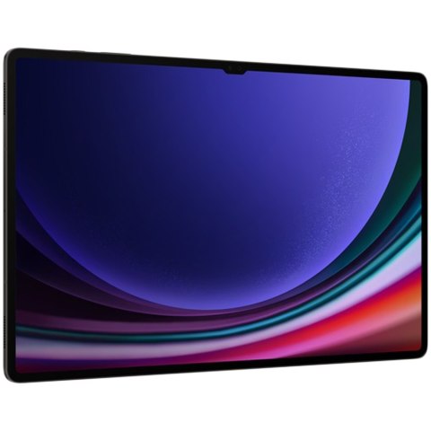 SAMSUNG Galaxy Tab S9 Ultra 12+256GB Gray