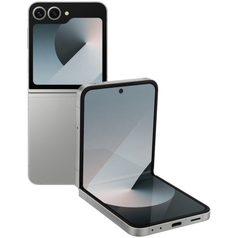 DEMO SAMSUNG 12GB_256GB SILVER Z FLIP 6