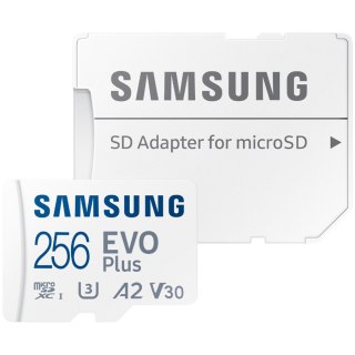 SAMSUNG EVO PLUS 256GB