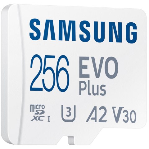 SAMSUNG EVO PLUS 256GB